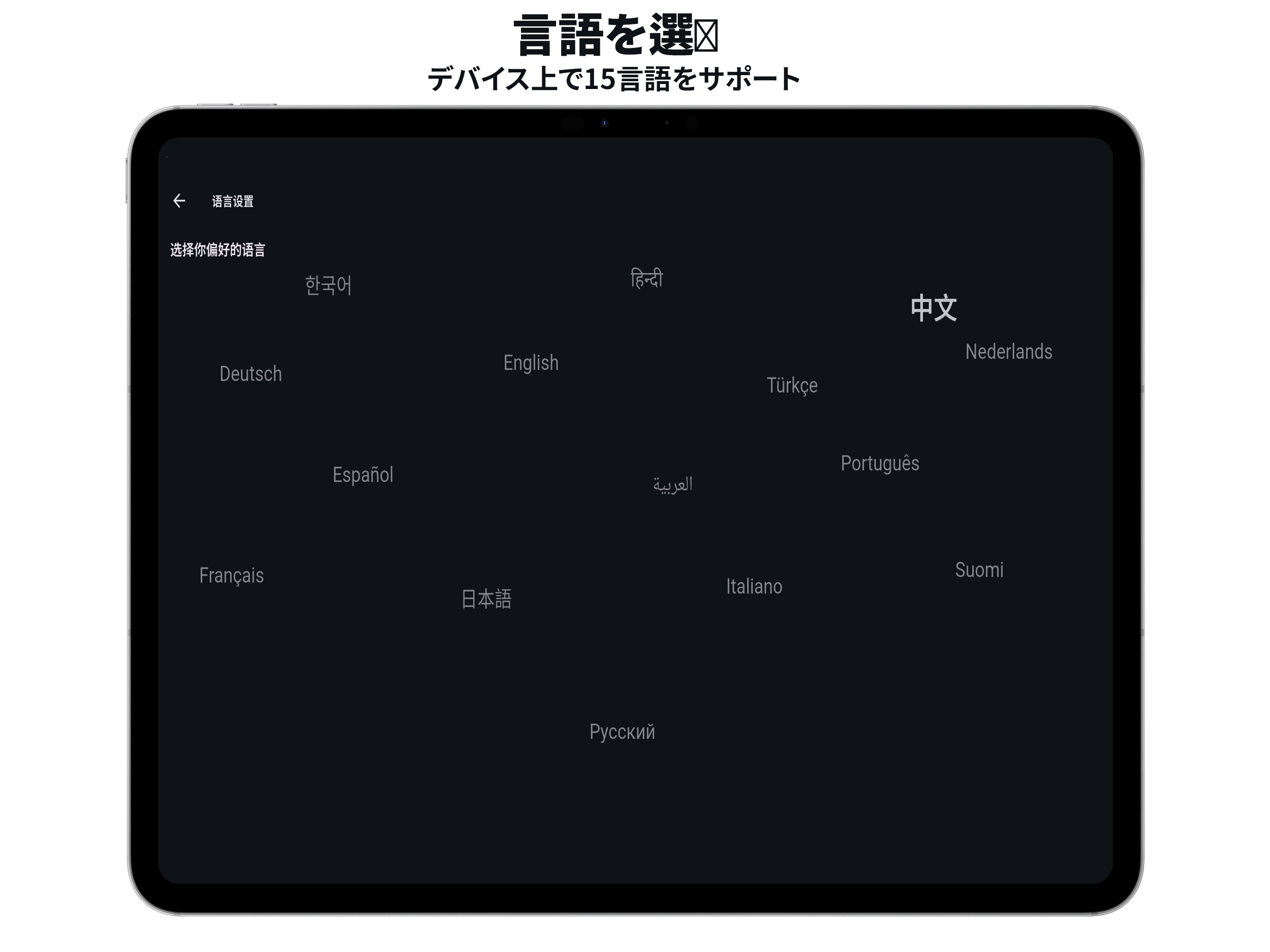 iPad screenshot 2